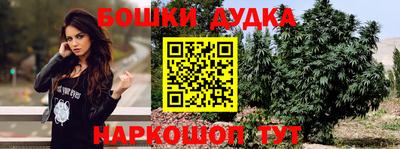 тгк Нальчик